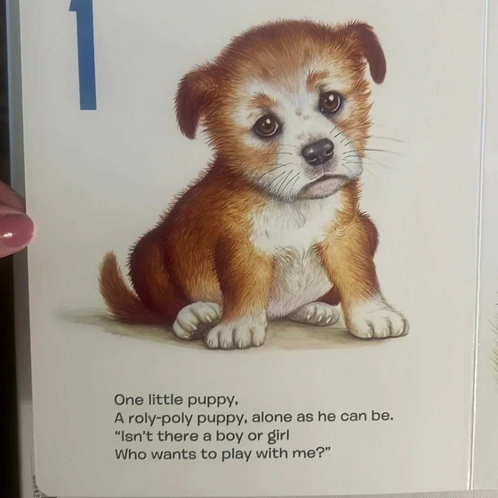 A Little Golden Board Book “My First Counting Book” by Lilian Moore​ - Picture 3 of 4